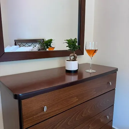 Comfort Apartment Arachova